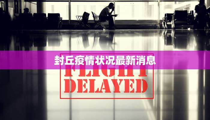 封丘疫情状况最新消息