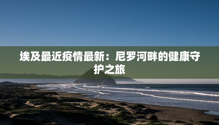 新疆税务疫情最新：稳健前行，赋能经济新动能