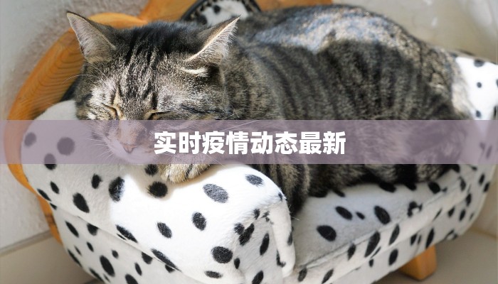 泉州疫情源头最新公告