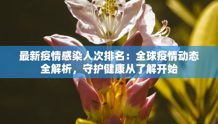 最新疫情感染人次排名：全球疫情动态全解析，守护健康从了解开始