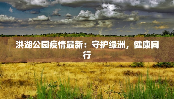 湖海塘最新疫情：守护家园，科学应对