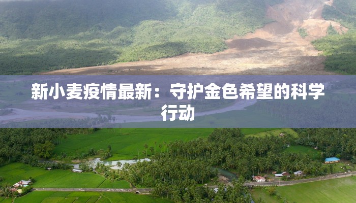 全国疫情最新情报新乡