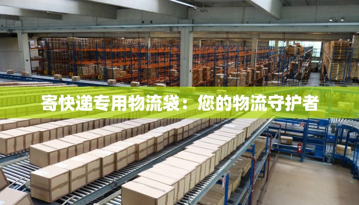 寄快递专用物流袋：您的物流守护者