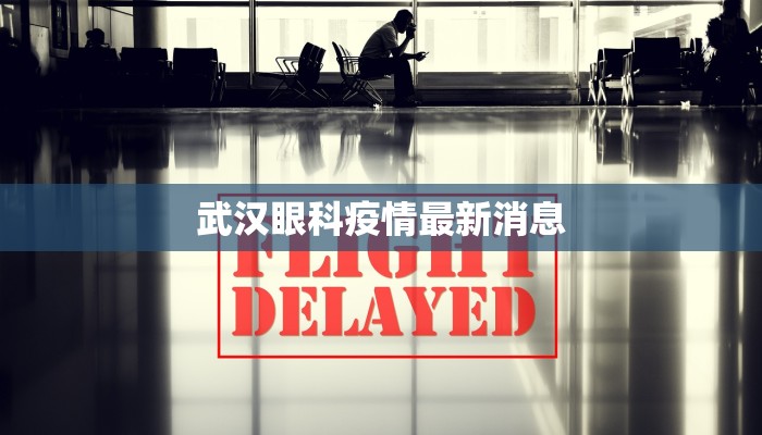 交警疫情最新通报：守护出行安全，筑牢防疫防线