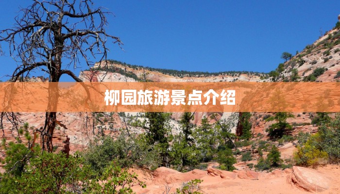 柳园旅游景点介绍