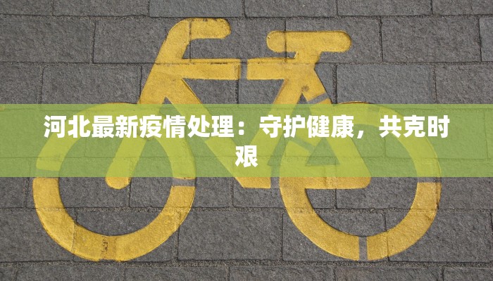河北最新疫情处理：守护健康，共克时艰