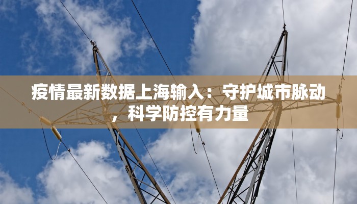 疫情最新数据上海输入：守护城市脉动，科学防控有力量