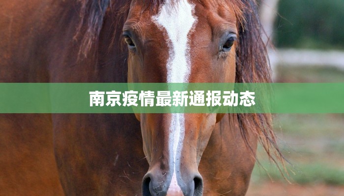 南京疫情最新通报动态