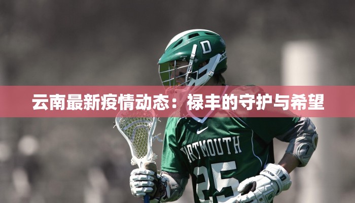 云南最新疫情动态：禄丰的守护与希望