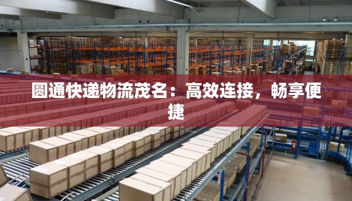 圆通快递物流茂名：高效连接，畅享便捷