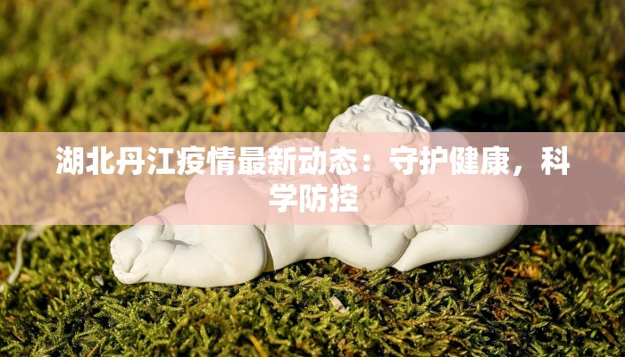 湖北丹江疫情最新动态：守护健康，科学防控