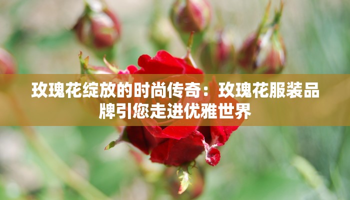 玫瑰花绽放的时尚传奇：玫瑰花服装品牌引您走进优雅世界