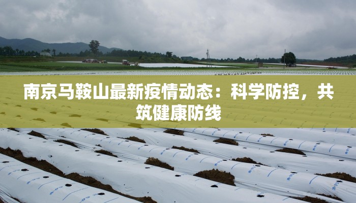 播报今日最新疫情