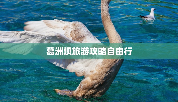 最新许昌疫情信息通知