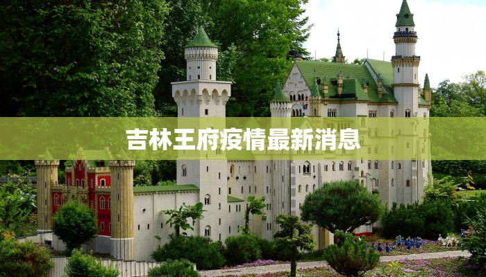 吉林王府疫情最新消息
