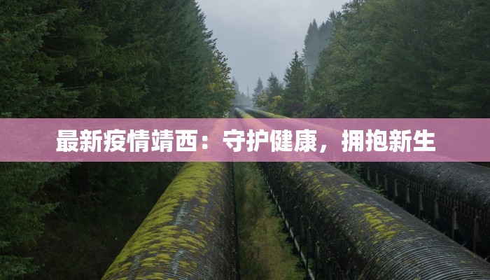 最新疫情靖西：守护健康，拥抱新生