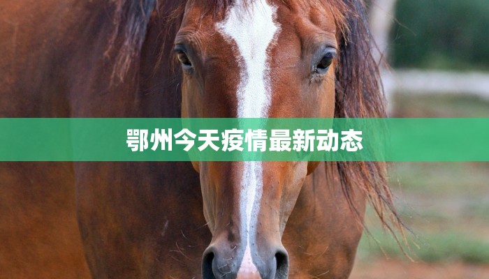 鄂州今天疫情最新动态