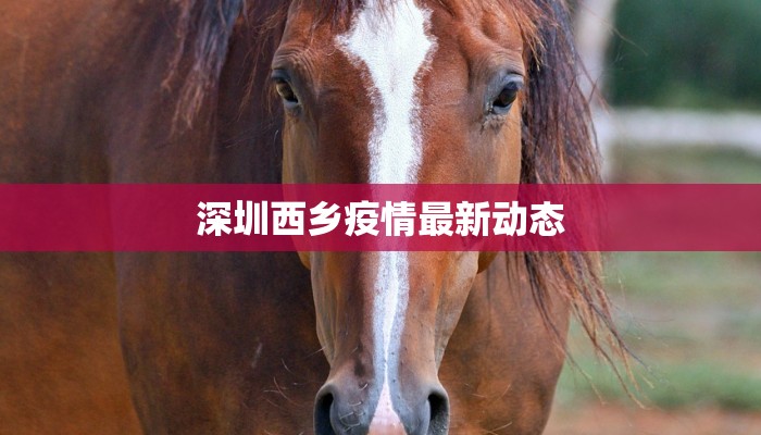 深圳西乡疫情最新动态