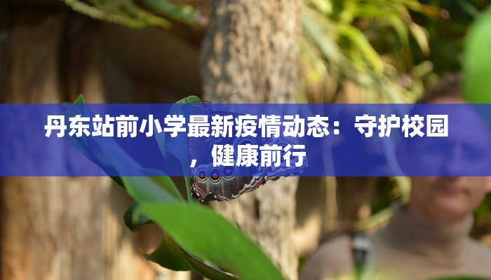 东莞刚刚最新疫情：科学防控，守护健康生活