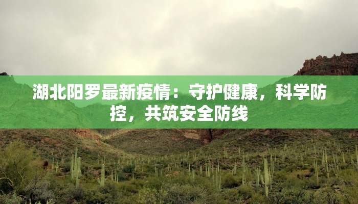湖北阳罗最新疫情:守护健康,科学防控,共筑安全防线 湖北阳罗最新疫情:守护健康,科学防控,共筑安全防线