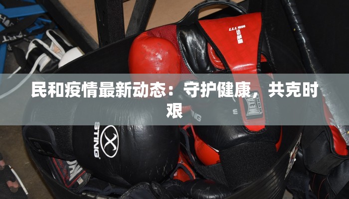 民和疫情最新动态:守护健康,共克时艰 民和疫情最新动态:守护健康,共克时艰