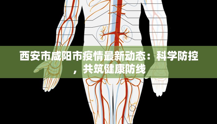 西安市咸阳市疫情最新动态:科学防控,共筑健康防线 西安市咸阳市疫情最新动态:科学防控,共筑健康防线