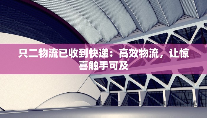 只二物流已收到快递：高效物流，让惊喜触手可及