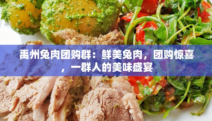 禹州兔肉团购群：鲜美兔肉，团购惊喜，一群人的美味盛宴