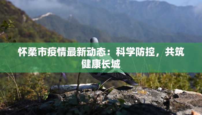 快递堆积物流异常：破解双11背后的“交通拥堵”谜题