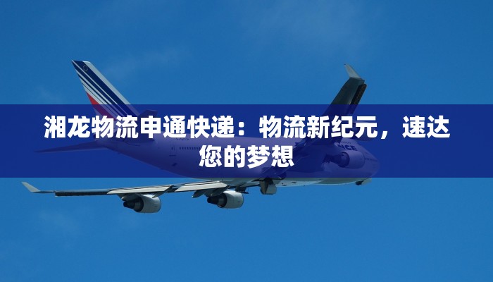 湘龙物流申通快递：物流新纪元，速达您的梦想