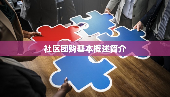 社区团购基本概述简介 社区团购基本概述简介