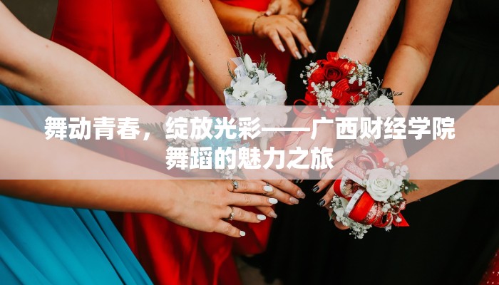 舞动青春，绽放光彩——广西财经学院舞蹈的魅力之旅