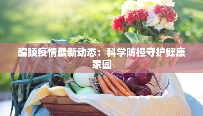 醴陵疫情最新动态：科学防控守护健康家园