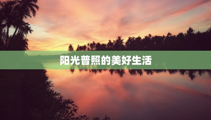阳光普照的美好生活