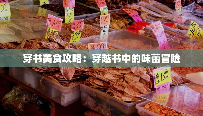 穿书美食攻略：穿越书中的味蕾冒险