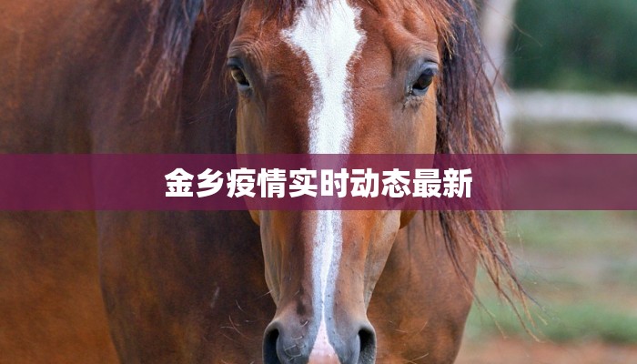 金乡疫情实时动态最新