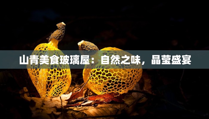 周口15天气预报 周口15天气预报