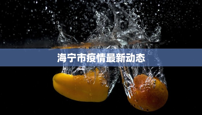 海宁市疫情最新动态