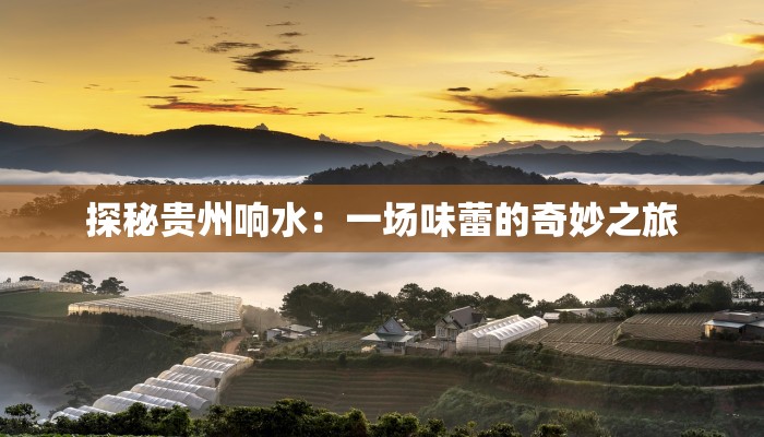 探秘贵州响水：一场味蕾的奇妙之旅