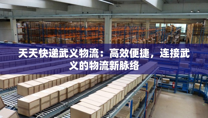 天天快递武义物流：高效便捷，连接武义的物流新脉络