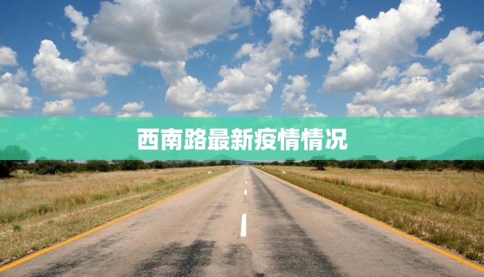西南路最新疫情情况 西南路最新疫情情况