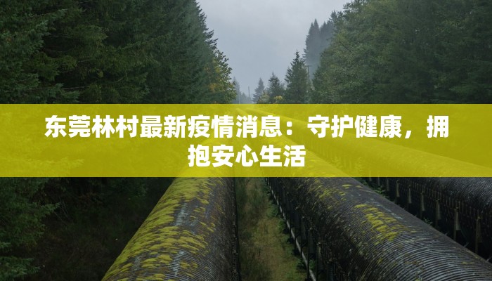 沈阳珲南疫情最新消息